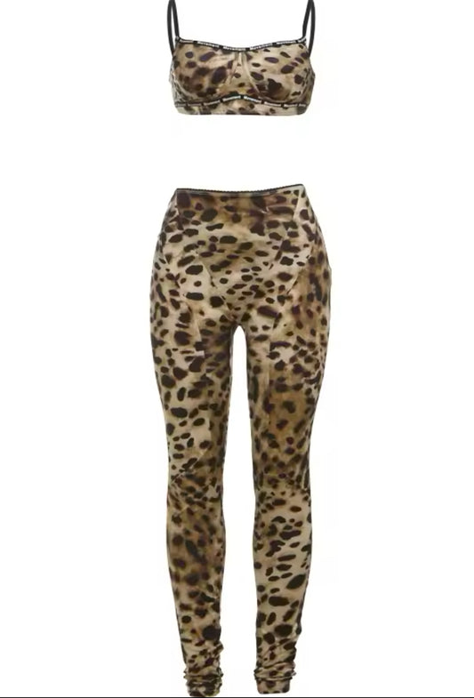 Wild Charm Leopard Print Two-Piece Set