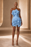Powder Blue Flora sculpted floral corset mini dress front view