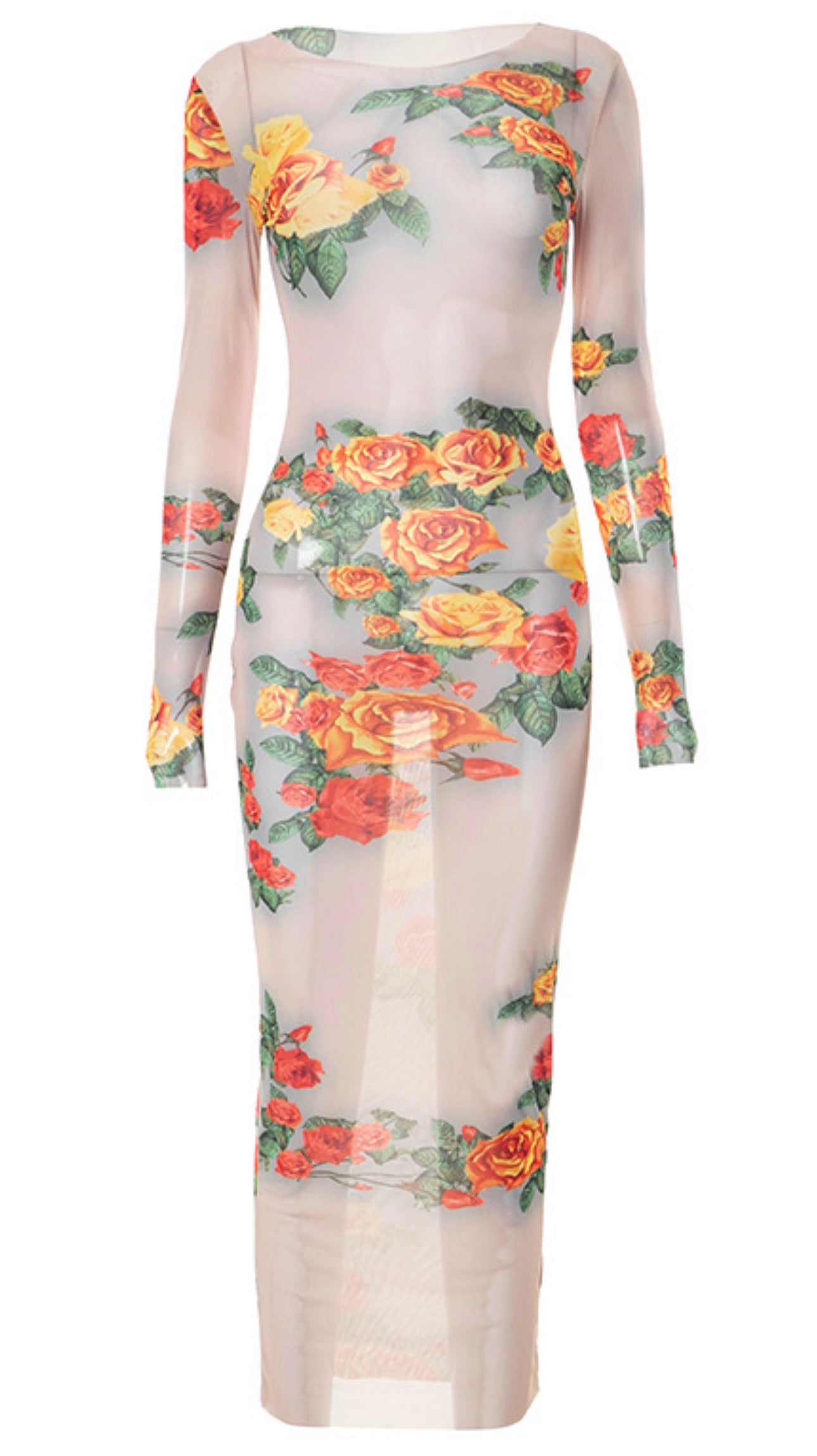 Enchanting Sheer Floral Dress