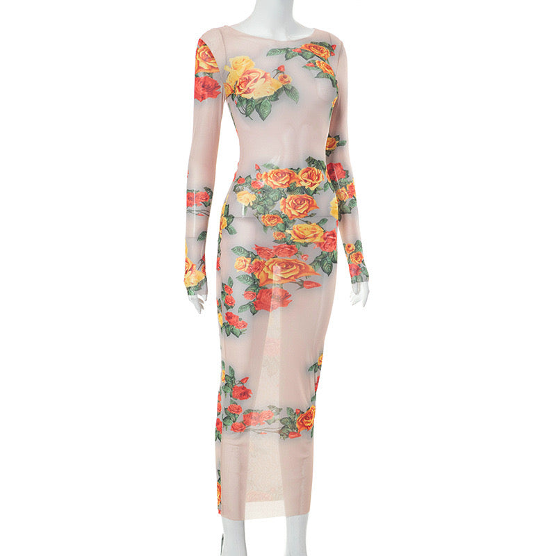 Enchanting Sheer Floral Dress