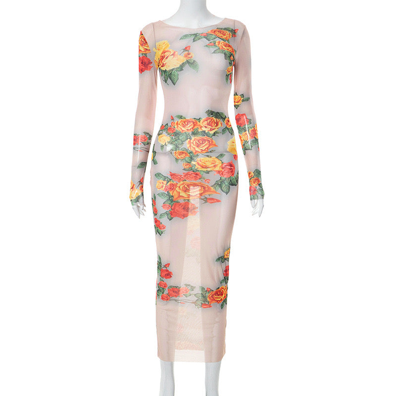 Enchanting Sheer Floral Dress