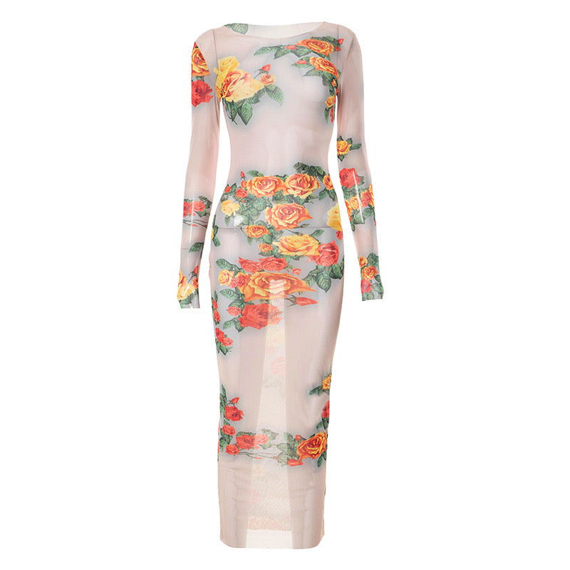 Enchanting Sheer Floral Dress