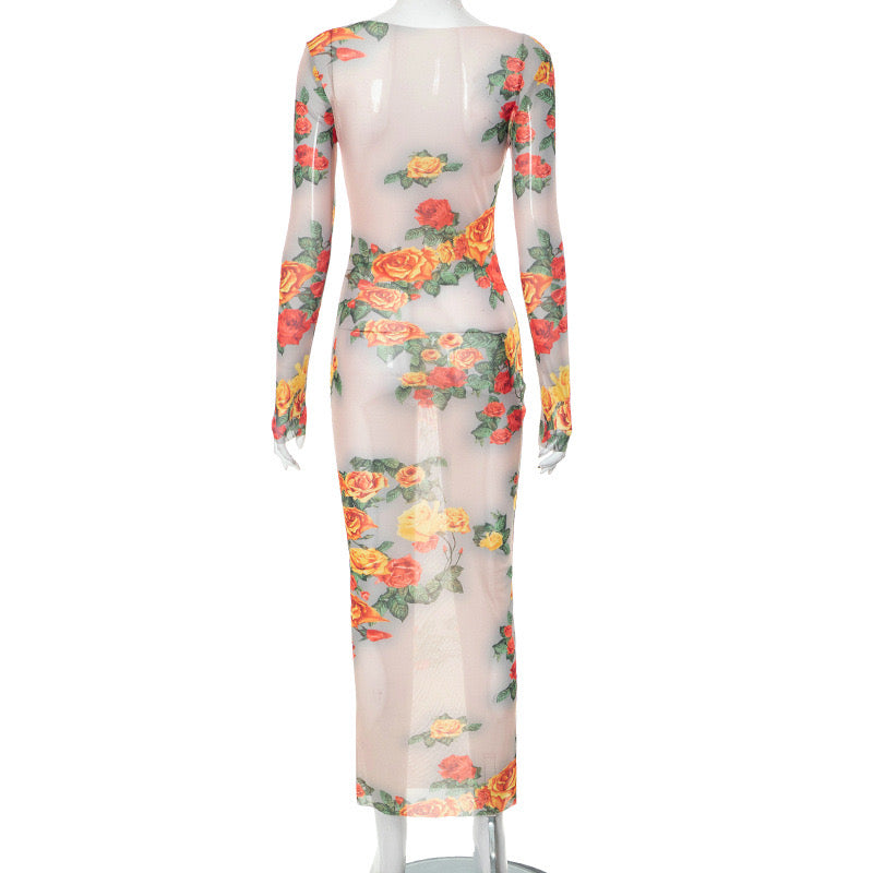 Enchanting Sheer Floral Dress